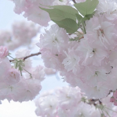 Furry插画细节提升干货Furry群